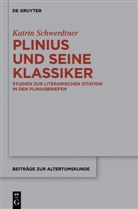 Katrin Schwerdtner - Plinius und seine Klassiker