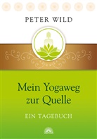 Peter Wild - Mein Yogaweg zur Quelle