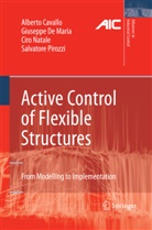 Albert Cavallo, Alberto Cavallo, Giusepp de Maria, Giuseppe De Maria, Ciro Natale, Ciro e Natale... - Active Control of Flexible Structures