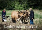 Alain Gaymard - Landwirtschaft - Bilder von einst (Posterbuch DIN A3 quer)