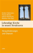 Heribert Hallermann, Thoma Meckel, Thomas Meckel, Pfannkuche, Sabrina Pfannkuche, Sabrina Pfannkuche u a... - Lebendige Kirche in neuen Strukturen