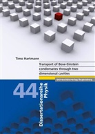 Timo Hartmann - Transport of Bose-Einstein condensates through two dimensional cavities