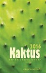 Stefan Liesenfeld - Kaktus 2016