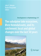 Borgstrøm, Borgstrøm, Reidar Borgstrøm, John E. Brittain, Joh E Brittain, John E Brittain - The subalpine lake ecosystem, Øvre Heimdalsvatn, and its catchment:  local and global changes over the last 50 years