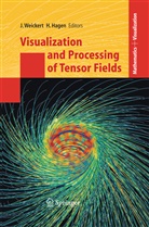 Hagen, Hagen, Hans Hagen, Joachi Weickert, Joachim Weickert - Visualization and Processing of Tensor Fields