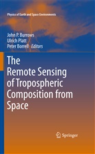 Peter Borrell, John P. Burrows, Ulric Platt, Ulrich Platt - The Remote Sensing of Tropospheric Composition from Space