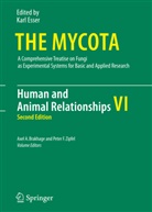 Axe A Brakhage, Axel A Brakhage, Axel A. Brakhage, Karl Esser, F Zipfel, F Zipfel... - The Mycota - 6: Human and Animal Relationships