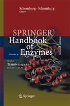 A Chang, Dietmar Schomburg, Id Schomburg, Ida Schomburg - Springer Handbook of Enzymes - 33: Class 2  Transferases VI