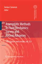 Herber Steinrück, Herbert Steinrück - Asymptotic Methods in Fluid Mechanics: Survey and Recent Advances