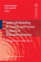 Pete Gumbsch, Peter Gumbsch, Pippan, Pippan, Reinhard Pippan - Multiscale Modelling of Plasticity and Fracture by Means of Dislocation Mechanics