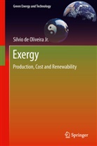 Silvio De Oliveira Junior - Exergy