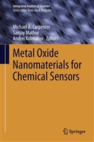 Michael A. Carpenter, Andrei Kolmakov, Sanja Mathur, Sanjay Mathur - Metal Oxide Nanomaterials for Chemical Sensors