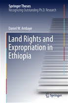 Daniel W Ambaye, Daniel W. Ambaye - Land Rights and Expropriation in Ethiopia