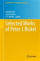C F Jeff Wu, Jianqing Fan, Ya'aco Ritov, Ya'acov Ritov, C. F. Jeff Wu, C.F. Jeff Wu - Selected Works of Peter J. Bickel