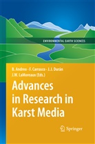 Francisco Carrasco, Juan José Durán Valsero, Jua José Durán Valsero, Juan José Durán Valsero, James W. Lamoreaux, James W LaMoreaux - Advances in Research in Karst Media