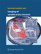 Bernhar Schaller, Bernhard Schaller - Imaging of Carotid Artery Stenosis
