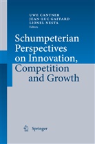 Uwe Cantner, Jean-Lu Gaffard, Jean-Luc Gaffard, Lionel Nesta - Schumpeterian Perspectives on Innovation, Competition and Growth