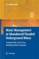 Christian Wolkersdorfer - Water Management at Abandoned Flooded Underground Mines