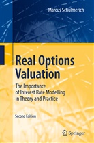 Marcus Schulmerich - Real Options Valuation