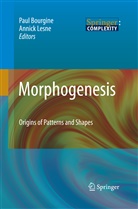 Pau Bourgine, Paul Bourgine, Lesne, LESNE, Annick Lesne - Morphogenesis
