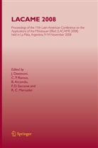 Bibiana Arcondo, Bibiana Arcondo et al, J. Desimoni, R. C. Mercader, R.C. Mercader, P Ramos... - LACAME 2008