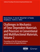 Bonnie Antoun, Richard Hall, Richard Hall et al, Jerry Qi, H Jerry Qi, Charles Lu... - Challenges in Mechanics of Time-Dependent Materials and Processes in Conventional and Multifunctional Materials, Volume 2. Vol.2