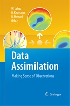 Bori Khattatov, Boris Khattatov, William Lahoz, Richard Menard - Data Assimilation