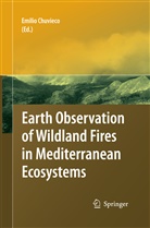Emili Chuvieco, Emilio Chuvieco - Earth Observation of Wildland Fires in Mediterranean Ecosystems