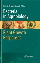Dines K Maheshwari, Dinesh K Maheshwari, Dinesh K. Maheshwari - Bacteria in Agrobiology: Plant Growth Responses