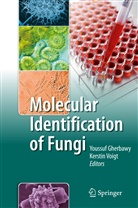 Youssu Gherbawy, Youssuf Gherbawy, Voigt, Voigt, Kerstin Voigt - Molecular Identification of Fungi