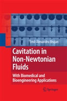 Emil Brujan - Cavitation in Non-Newtonian Fluids