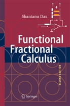 Shantanu Das - Functional Fractional Calculus