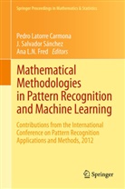 Ana L. N. Fred, Ana L.N. Fred, Ana Luisa Fred, Ana Fred - 502 854 200, Ana L N Fred, Pedro Latorre Carmona... - Mathematical Methodologies in Pattern Recognition and Machine Learning