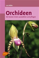 Lutz Röllke - Orchideen