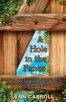 Lynn Carroll, Judy Johnson - A Hole in the Fence