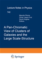 D Hughes, D. Hughes, O. Lopez-Cruz, López-Cruz, O López-Cruz, O. López-Cruz... - A Pan-Chromatic View of Clusters of Galaxies and the Large-Scale Structure