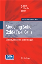 Robert Bove, Roberto Bove, Ubertini, Ubertini, S. Ubertini - Modeling Solid Oxide Fuel Cells