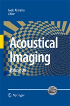 Iwak Akiyama, Iwaki Akiyama - Acoustical Imaging