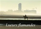Alain Gaymard - Lueurs flamandes (Livre poster DIN A3 horizontal)