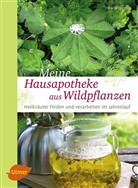 Karin Greiner - Meine Hausapotheke aus Wildpflanzen