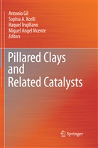 Sophi A Korili, Sophia A Korili, Antonio Gil, Sophia A. Korili, Raquel Trujillano, Raquel Trujillano et al... - Pillared Clays and Related Catalysts