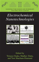 Madha Datta, Madhav Datta, Tetsuya Osaka, Yosi Shacham-Diamand - Electrochemical Nanotechnologies