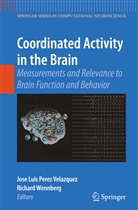 Jos Luis Perez Velazquez, Jose Luis Perez Velazquez, Jose Luis Perez Velazquez, Jose Luis Perez Velazquez, Wennberg, Wennberg... - Coordinated Activity in the Brain