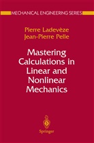 Pierre Ladeveze, Pierr Ladevèze, Pierre Ladevèze, Jean Pierre Pelle - Mastering Calculations in Linear and Nonlinear Mechanics