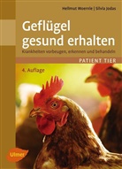 Silvia Jodas, Hellmu Woernle, Hellmut Woernle - Geflügel gesund erhalten