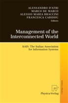 Alessio Maria Braccini, Francesca Cabiddu, Alessandro D'Atri, Marc De Marco, Marco De Marco, Alessio Maria Braccini et al - Management of the Interconnected World