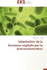 Marius K Somda, Marius K. Somda, Somda-m - Valorisation de la biomasse