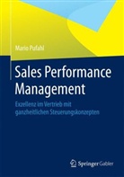 Mario Pufahl - Sales Performance Management