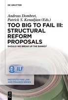 Andrea Dombret, Andreas Dombret, Patrick S. Kenadjian, S Kenadjian, S Kenadjian - Too Big to Fail III: Structural Reform Proposals