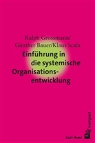 Günthe Bauer, Günther Bauer, Ralp Grossmann, Ralph Grossmann, Klaus Scala - Einführung in die systemische Organisationsentwicklung
